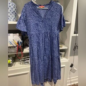 Blue Cheetah Design Dress